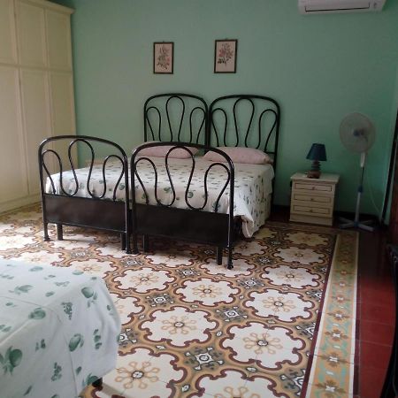 Il Cactus Bed and Breakfast San Giovanni Incarico Exteriör bild