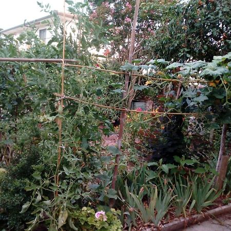 Il Cactus Bed and Breakfast San Giovanni Incarico Exteriör bild