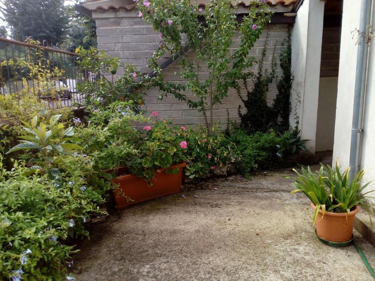 Il Cactus Bed and Breakfast San Giovanni Incarico Exteriör bild