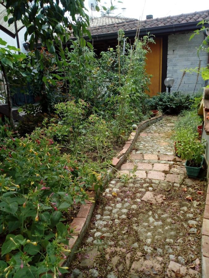 Il Cactus Bed and Breakfast San Giovanni Incarico Exteriör bild
