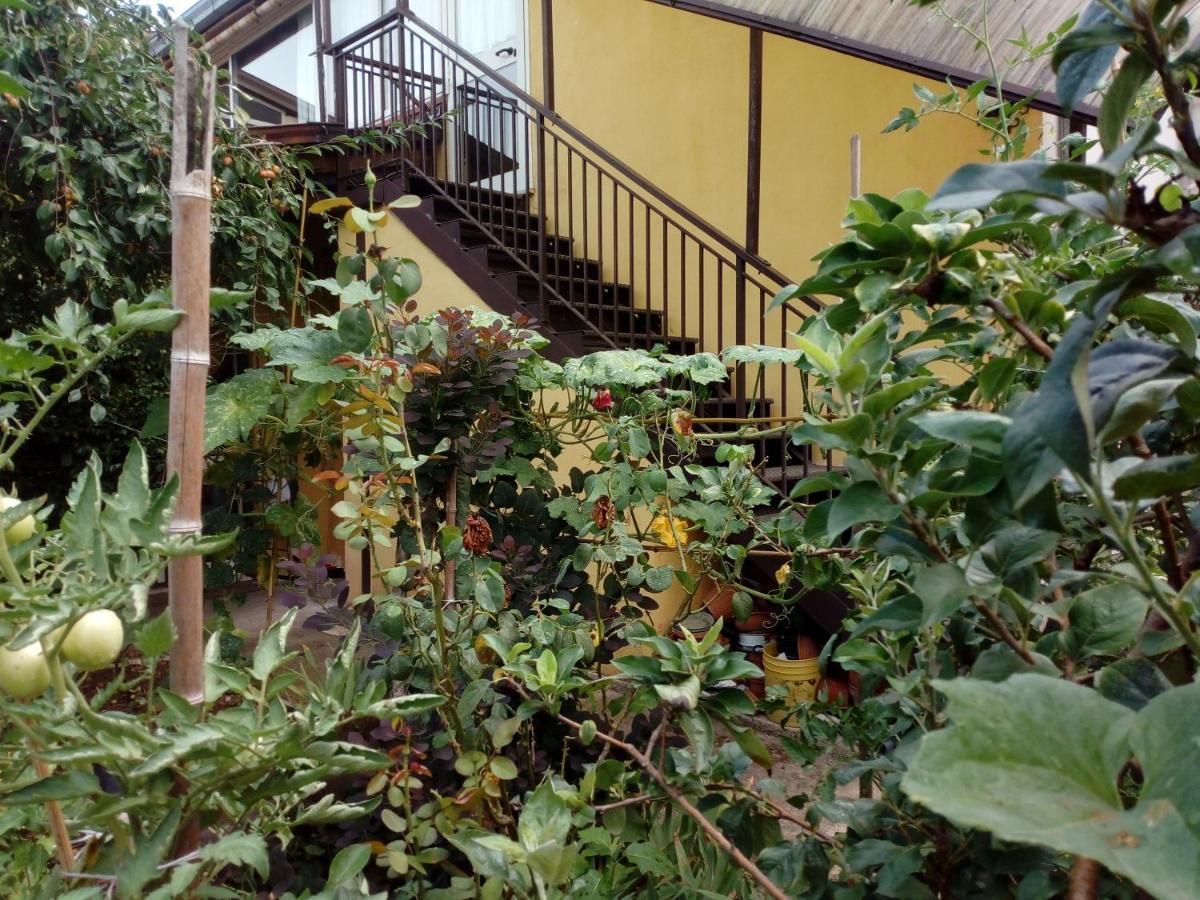 Il Cactus Bed and Breakfast San Giovanni Incarico Exteriör bild