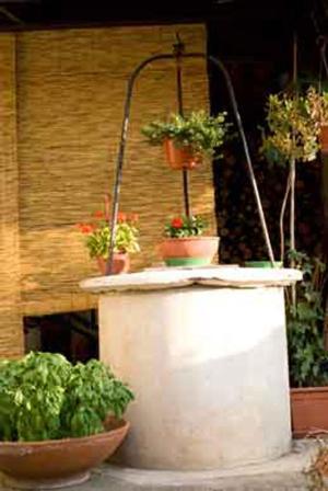Il Cactus Bed and Breakfast San Giovanni Incarico Exteriör bild